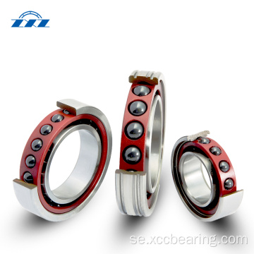 Hybrid Ceramic Rolling Element Bearings